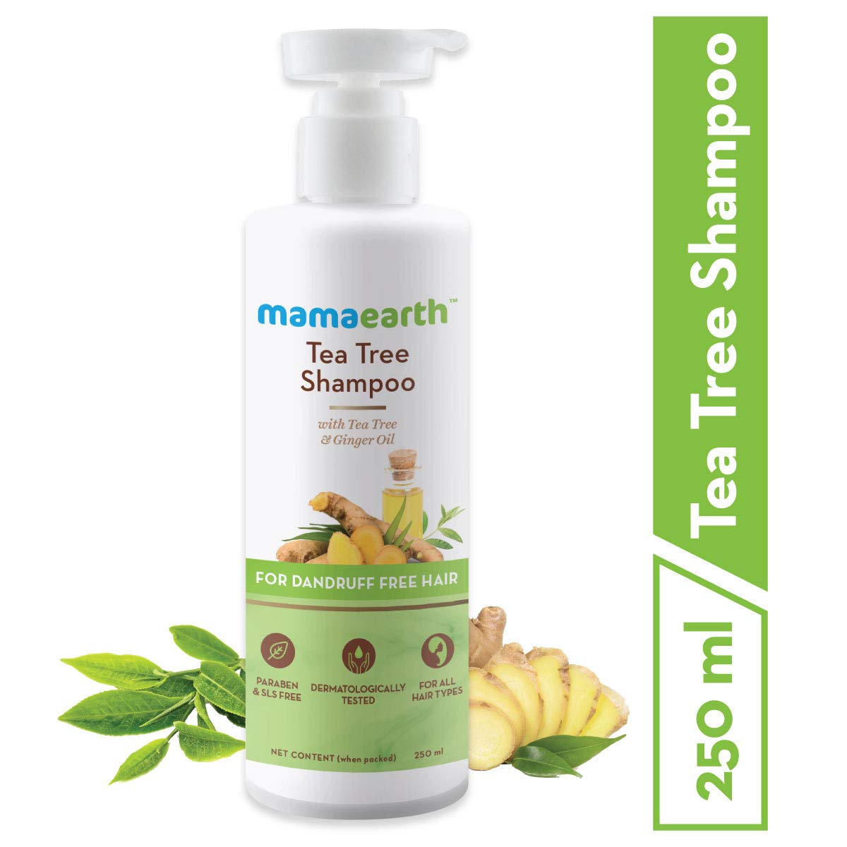 Mamaearth Anti Dandruff Tea Tree Hair Mask with Tea Tree and Lemon Oil For  Danrduff Control and Itch Treatement 200ml  Amazonin Beauty